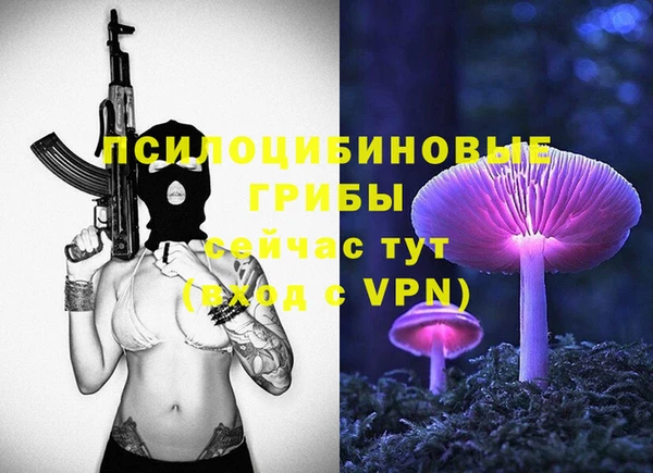 хмурый Алексеевка