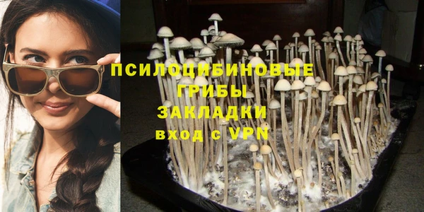 mdpv Алексин